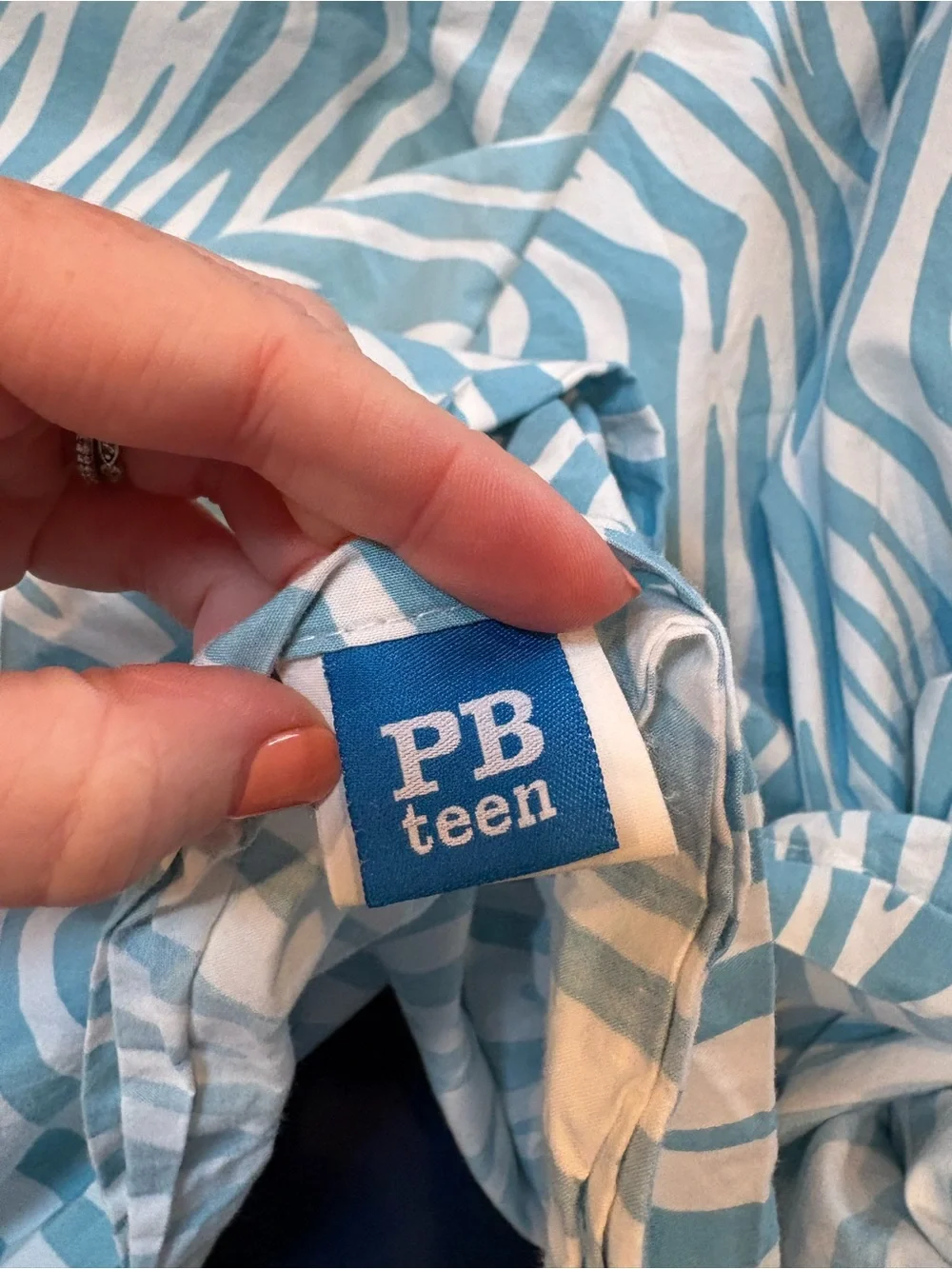 Pottery Barn Teen Y2K Blue Zebra Print Cotton Duvet Cover Full / Queen